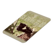 Motivatie toet van het Kat van het Leven Citaat Ku Magneet (Linkerzijde)