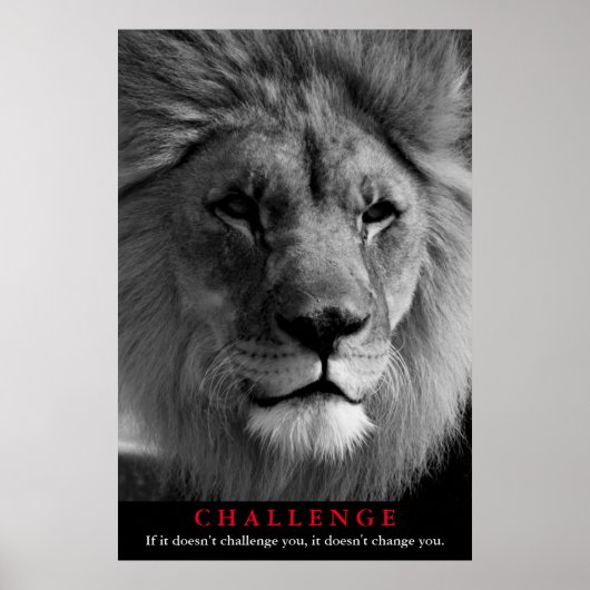 Motivatie uitdaging voor Black & White Lion Poster (Voorkant)