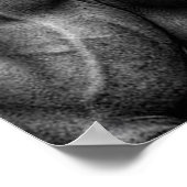 Motivatie werkresultaat poster (Hoek)