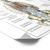 Motivatie werkresultaat poster (Hoek)