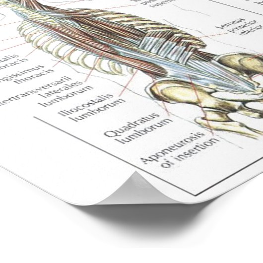 Motivatie werkresultaat poster (Hoek)