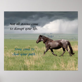 Motivatie Wild Mustang Horse Poster