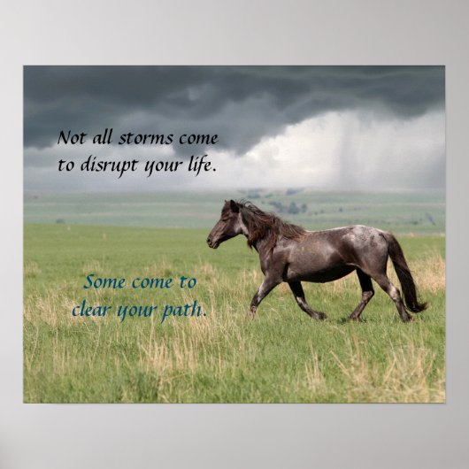 Motivatie Wild Mustang Horse Poster (Voorkant)