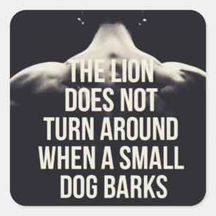 Motivatie woorden - de leeuw draait niet om vierkante sticker