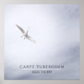 Motivatie zeemeeuw Carpe Diem French Fries Mini Poster (Voorkant)