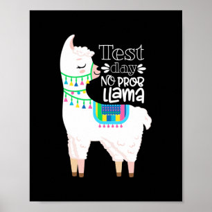 Motivatiestatus testdag voor leraar Geen proefkont Poster