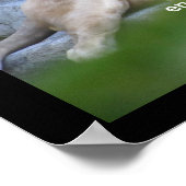 Motiverende Spreuk Leeuwenhart Moed Poster (Hoek)