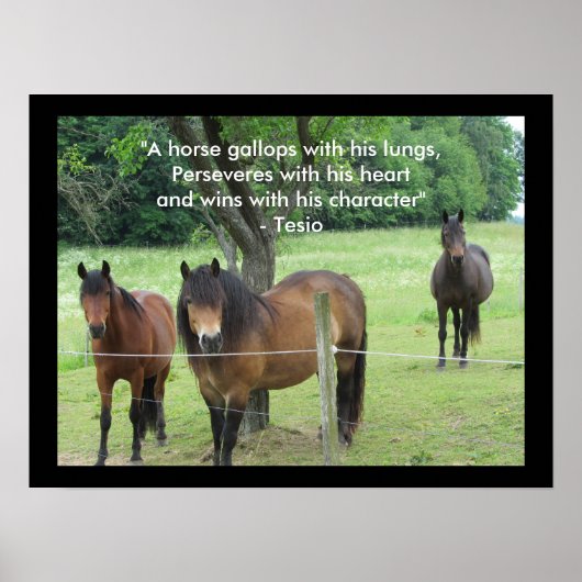Motiverende spreuk met paarden poster (Voorkant)