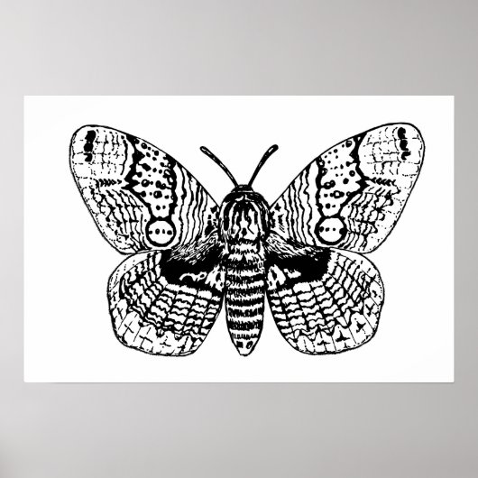 Motivering van Brahmin Poster (Voorkant)