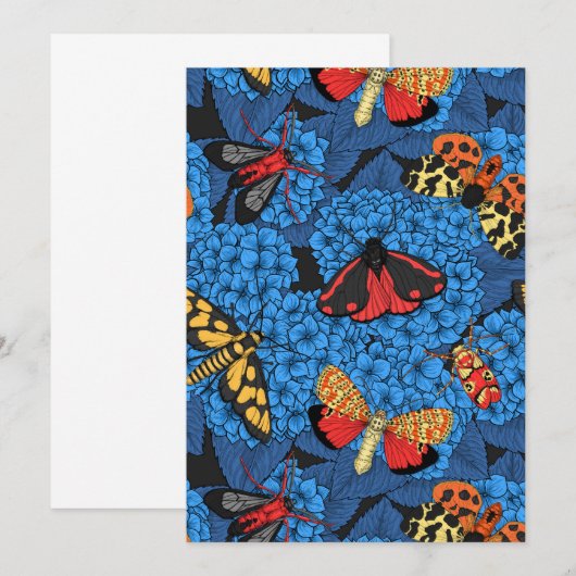 Motivering voor blauwe hydrangea (Voorkant / Achterkant)