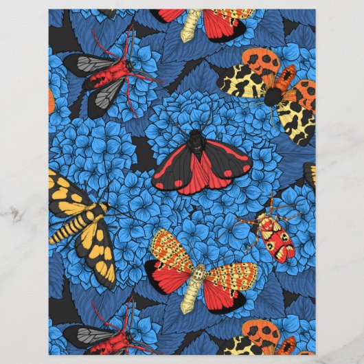 Motivering voor blauwe hydrangea (Voorkant)