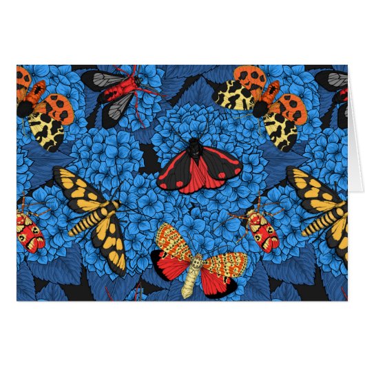 Motivering voor blauwe hydrangea (Voorkant Horizontaal)