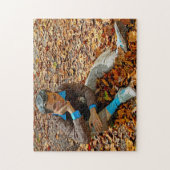 Motivering voor sculptuur New Jersey. Legpuzzel (Verticaal)