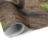 Moto-xing - Motocross-racisme Cadeaupapier (Rol Hoek)