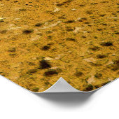 Motocross Dirt-Bike Racing Champion Close-up Poster (Hoek)