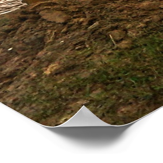 Motocross in Dusk Poster (Hoek)