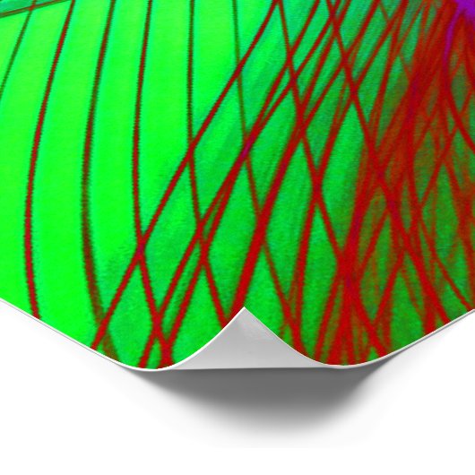 Motocross op het web van Psychedelic Spider Poster (Hoek)