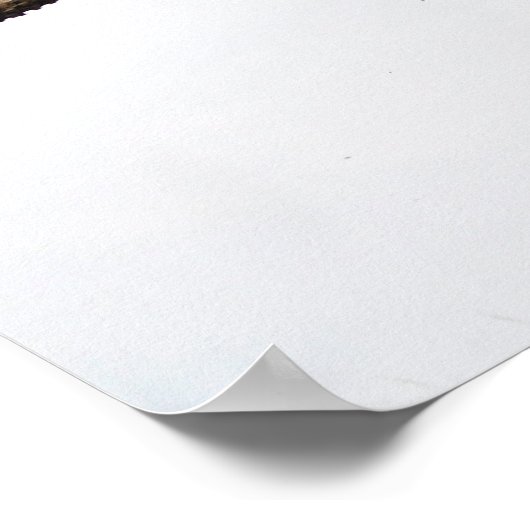 Motocross Racers Poster (Hoek)