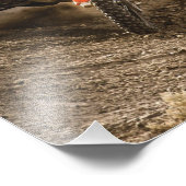 Motocross Rider Foto Afdruk (Hoek)