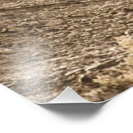 Motocross Rider Foto Afdruk (Hoek)