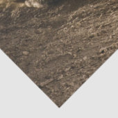 Motocross Rider Tissuepapier (Detail)