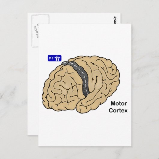 Motor cortex briefkaart (Voorkant / Achterkant)
