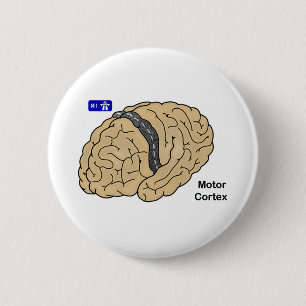 Motor cortex ronde button 5,7 cm