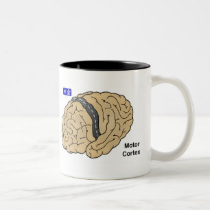 Motor cortex tweekleurige koffiemok