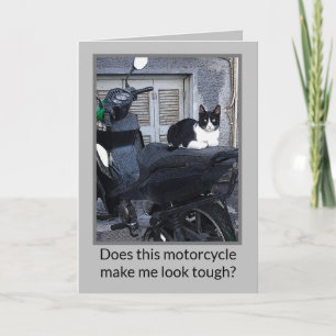 MOTORCYCLUS CAT/HUMOR NOTITIEKAARTJE