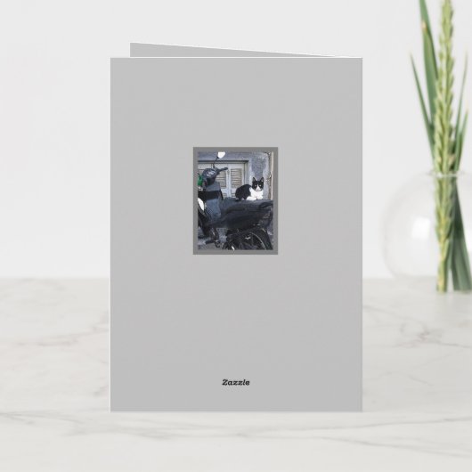 MOTORFIETS KAT /HUMOR NOTITIEKAARTJE (Achterkant)