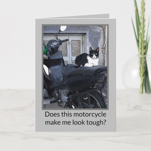 MOTORFIETS KAT /HUMOR NOTITIEKAARTJE (Voorkant)