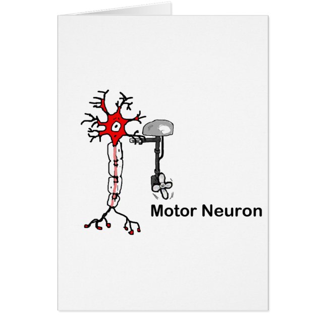 Motorneuron (Voorkant)