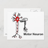 Motorneuron Briefkaart (Voorkant / Achterkant)
