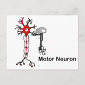 Motorneuron Briefkaart (Voorkant)
