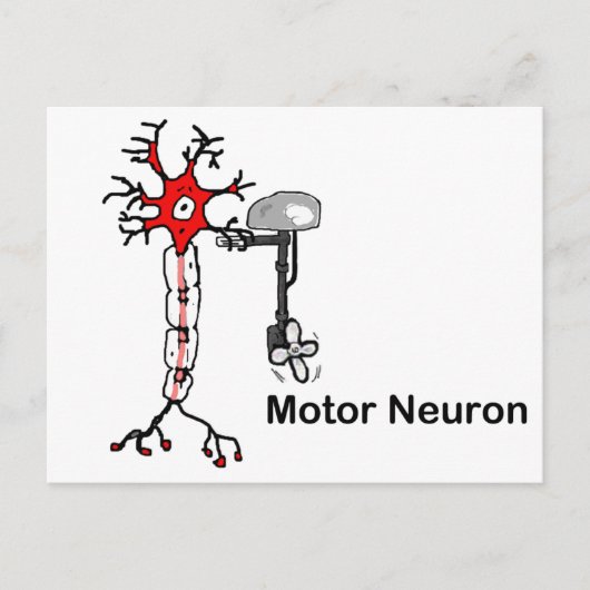 Motorneuron Briefkaart (Voorkant)