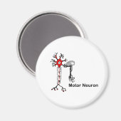 Motorneuron Magneet (Voorkant / Achterkant)