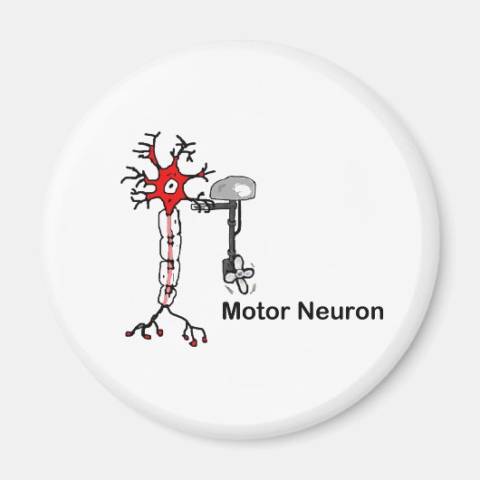 Motorneuron Magneet (Voorkant)
