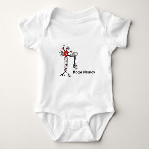Motorneuron Romper