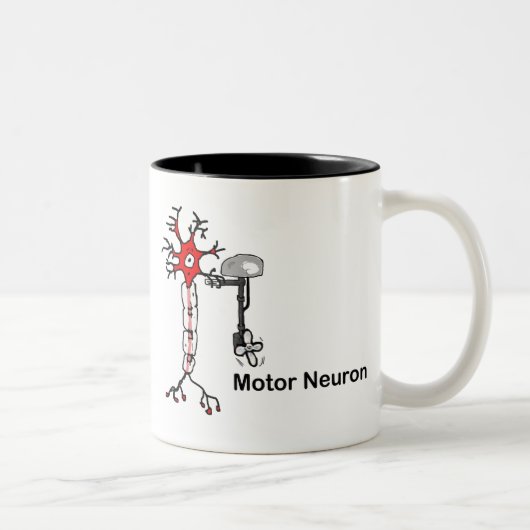 Motorneuron Tweekleurige Koffiemok (Rechts)