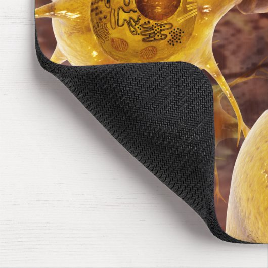 Motorneuronen Muismat (Hoek)