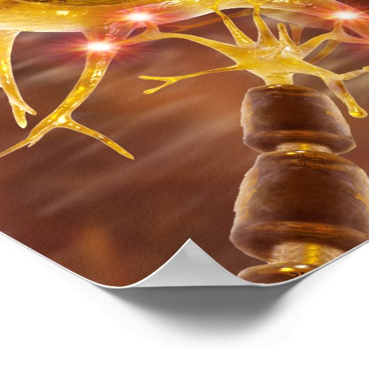 Motorneuronen Poster (Hoek)