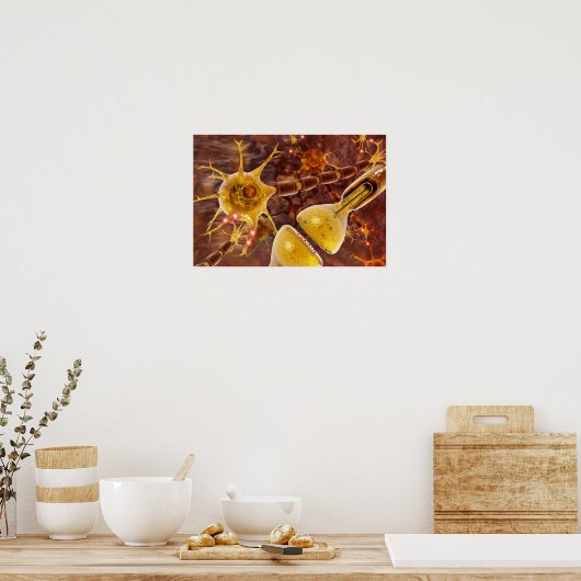 Motorneuronen Poster (Keuken)