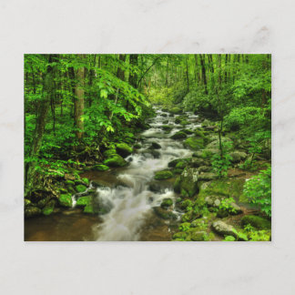 Motortreinen voor het gebruik van rolvorken briefkaart