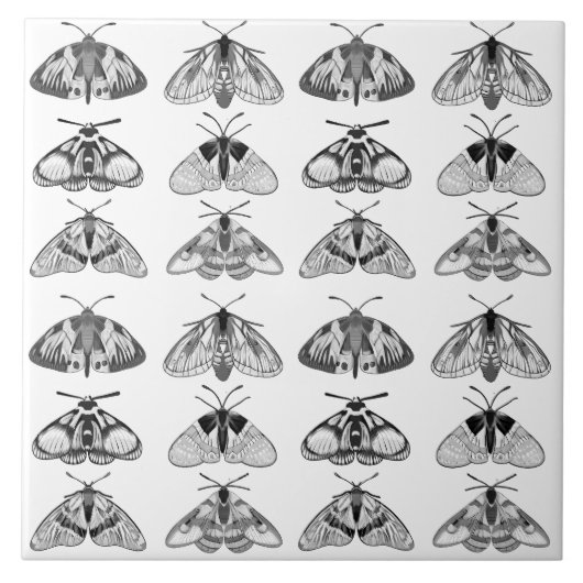Motten in grijs, zwart en wit tegeltje (Voorkant)