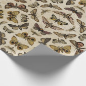  motten inpakpapier (Hoek)