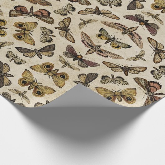  motten inpakpapier (Hoek)