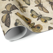  motten inpakpapier (Rol Hoek)