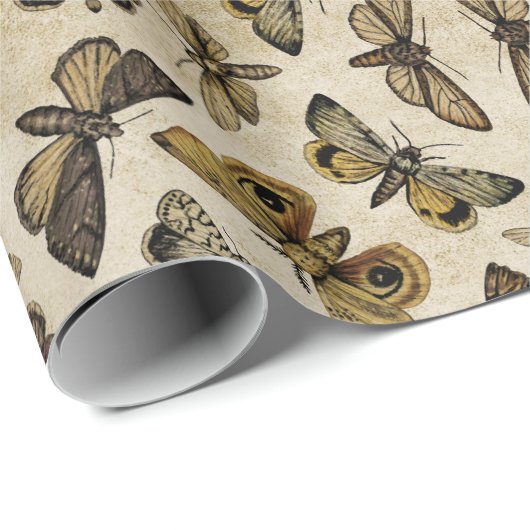  motten inpakpapier (Rol Hoek)