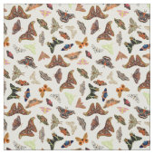 Motten insecten mooie natuur stof (Swatch)