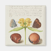 Motten, Jeruzalem salie en bonen kalligrafie Magneet (Voorkant)